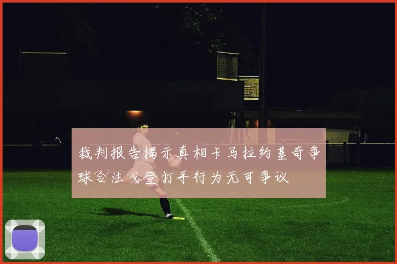 裁判报告揭示真相卡马拉约基奇争球合法戈登打手行为无可争议
