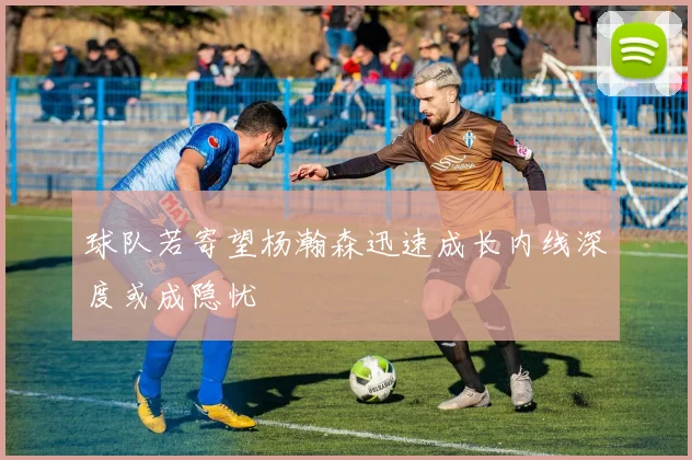 球队若寄望杨瀚森迅速成长内线深度或成隐忧